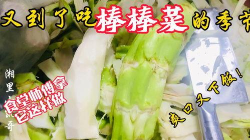 宜春老师吃瓜,一场校园风波背后的真相揭秘