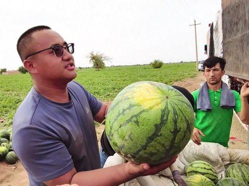 吃瓜西王母,揭秘神话中的神秘仙果与仙界传说