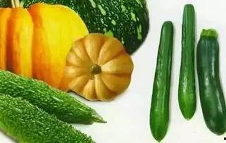 羽毛吃瓜后续,揭秘娱乐圈背后的秘密与真相