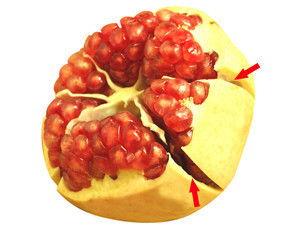 临潼王瑶吃瓜,瓜田里的宫廷风云