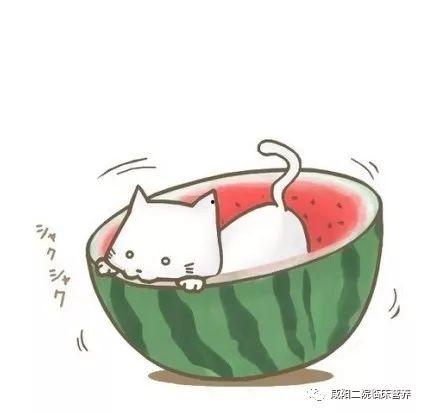 夏天吃瓜可爱头像,可爱吃瓜头像秀清凉风采