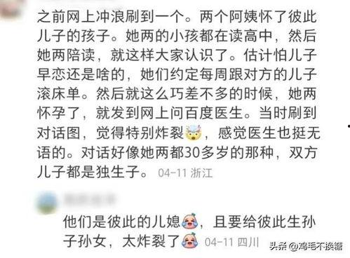 吃瓜算师小说,揭秘神秘算术世界的奇幻之旅