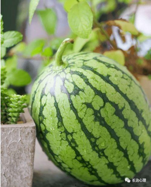 冷心吃瓜,揭秘娱乐圈背后的真相与八卦